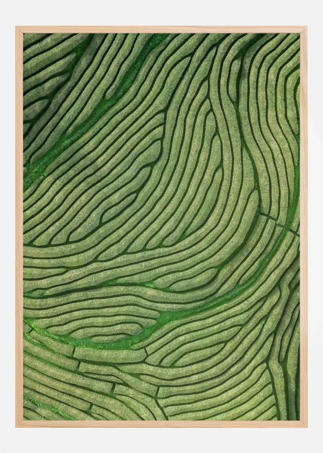 Green lines Αφίσα