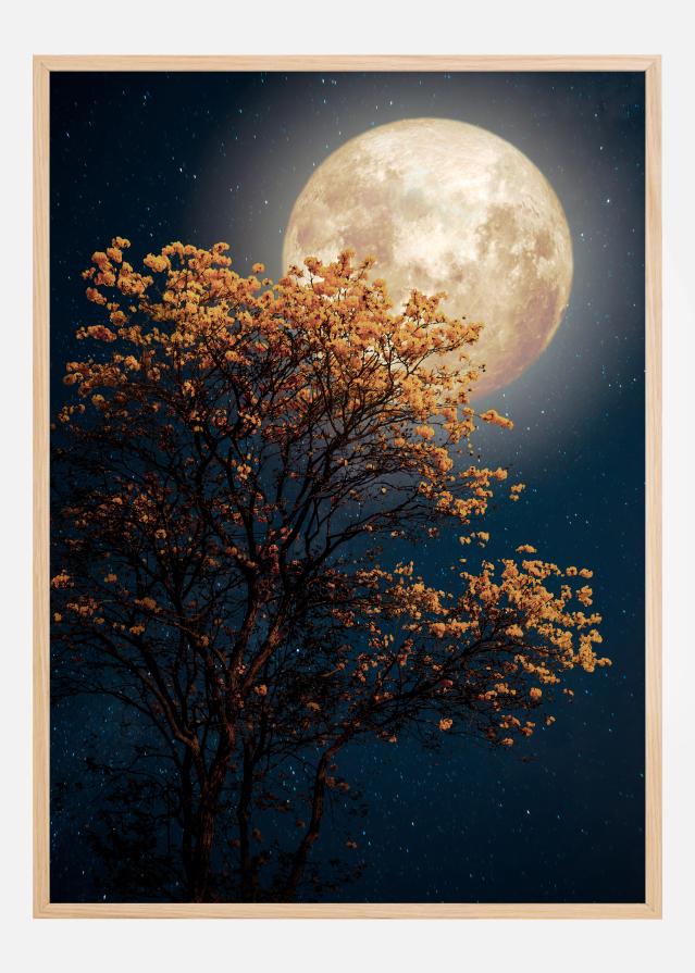 Tree in moonlight Αφίσα