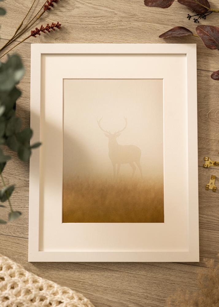 Πλαίσιο Deco Ακρυλικό γυαλί Λευκό 50x50 cm