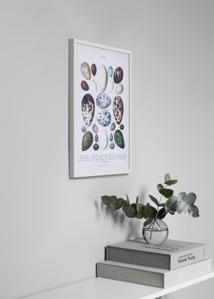 Πλαίσιο Oslo Λευκό 30x40 cm - Πασπαρτού Μαύρος 18x27 cm