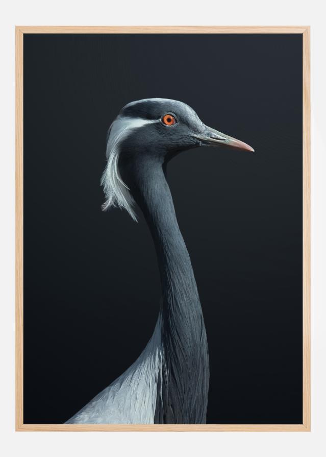 La Demoiselle Αφίσα