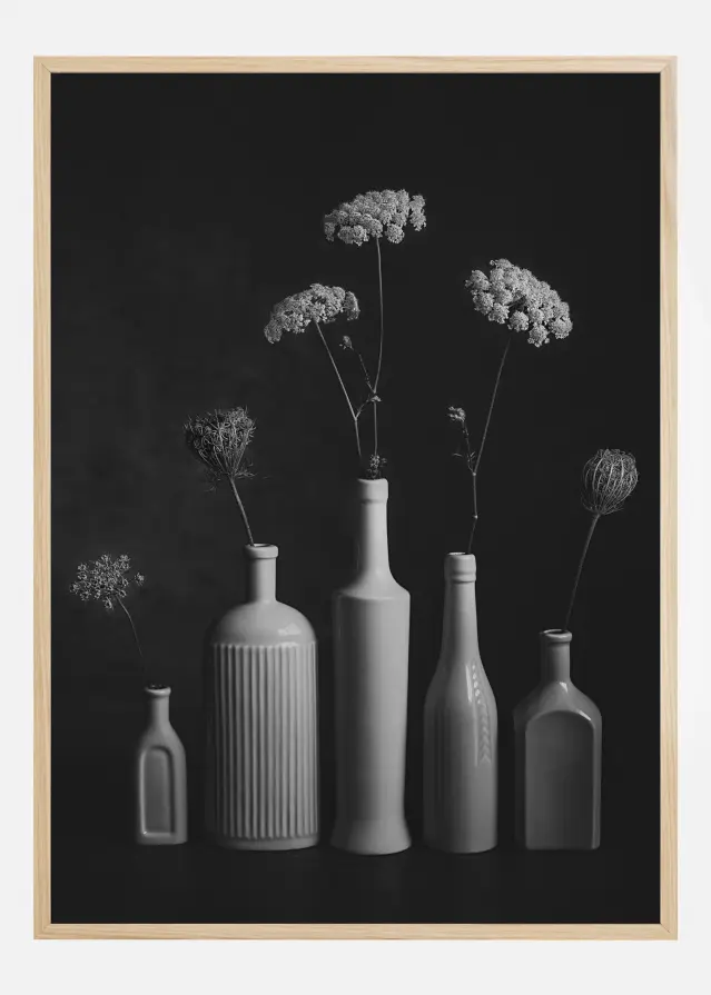 Daucus Carota Αφίσα