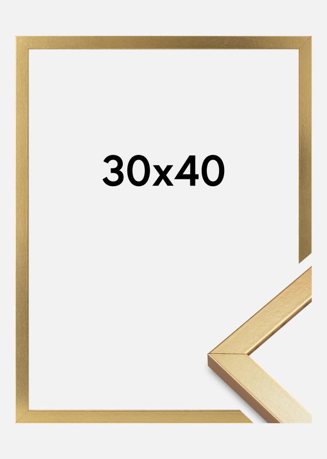 Πλαίσιο Minerva Ακρυλικό γυαλί Χρυσός 30x40 cm
