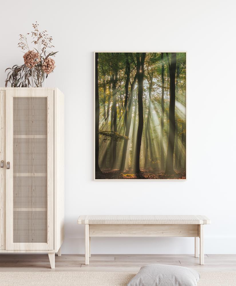 Sunny Start To The Day Αφίσα