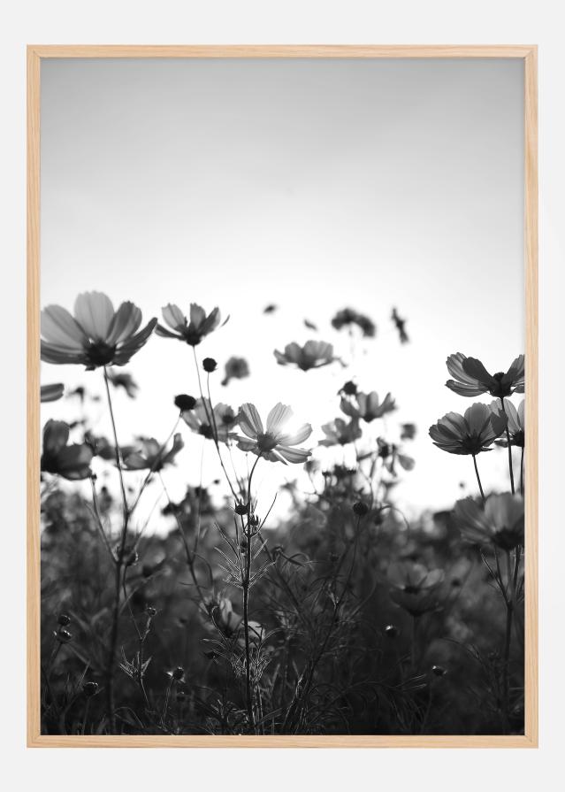 Black and white field with flowers Αφίσα