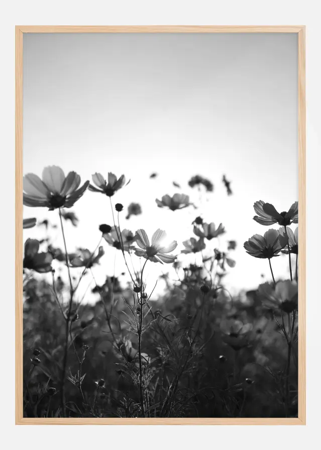 Black and white field with flowers Αφίσα