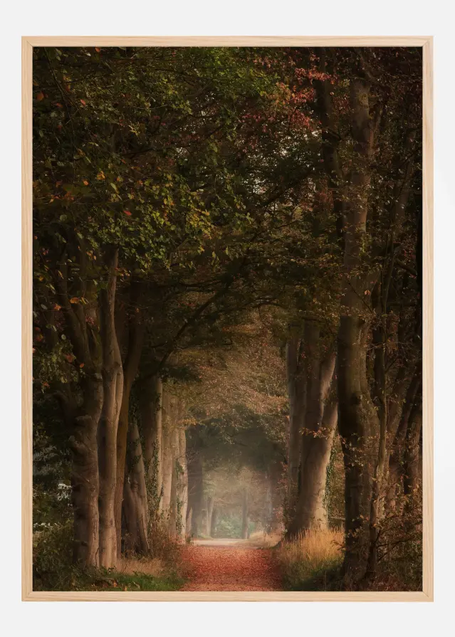 Daydreamer Αφίσα