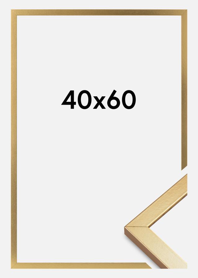 Πλαίσιο Minerva Ακρυλικό γυαλί Χρυσός 40x60 cm
