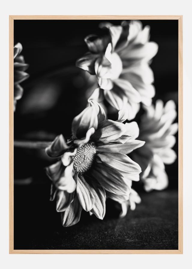 Black and White Flowers Αφίσα