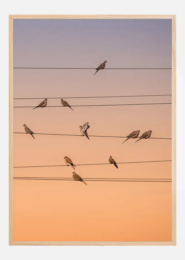 Music Of Light Αφίσα