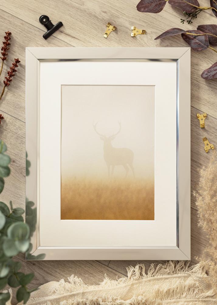 Πλαίσιο Åsarna Λαμπερό Ασημί - Προαιρετικός Μέγεθος