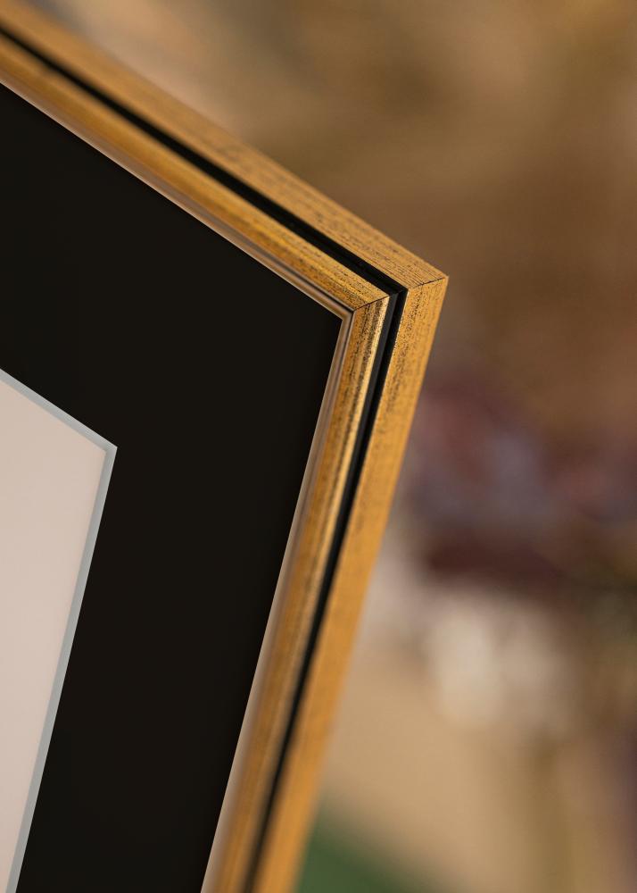 Πλαίσιο Horndal Χρυσός 24x30 cm - Πασπαρτού Μαύρος 18x24 cm