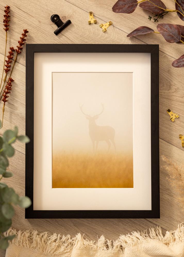 BGA Πλαίσιο κουτιού Ακρυλικό γυαλί Μαύρος 29,7x42 cm (A3)