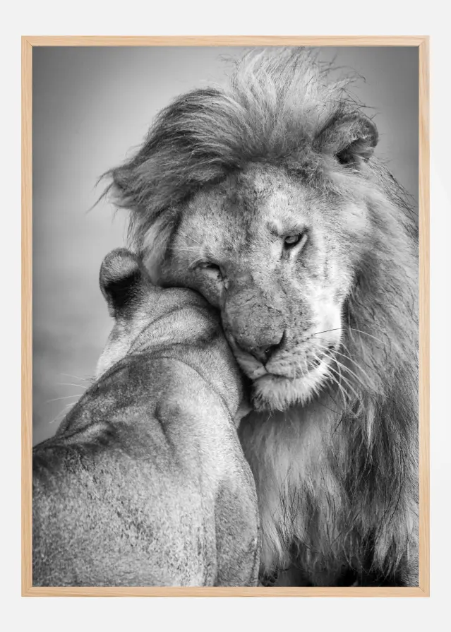 African Love! Αφίσα