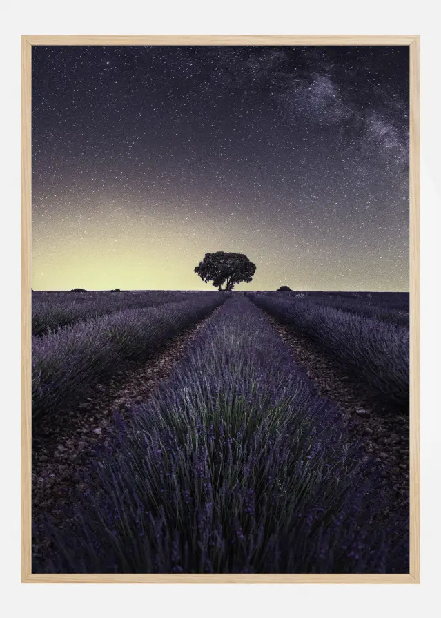 Lavender Fields Αφίσα