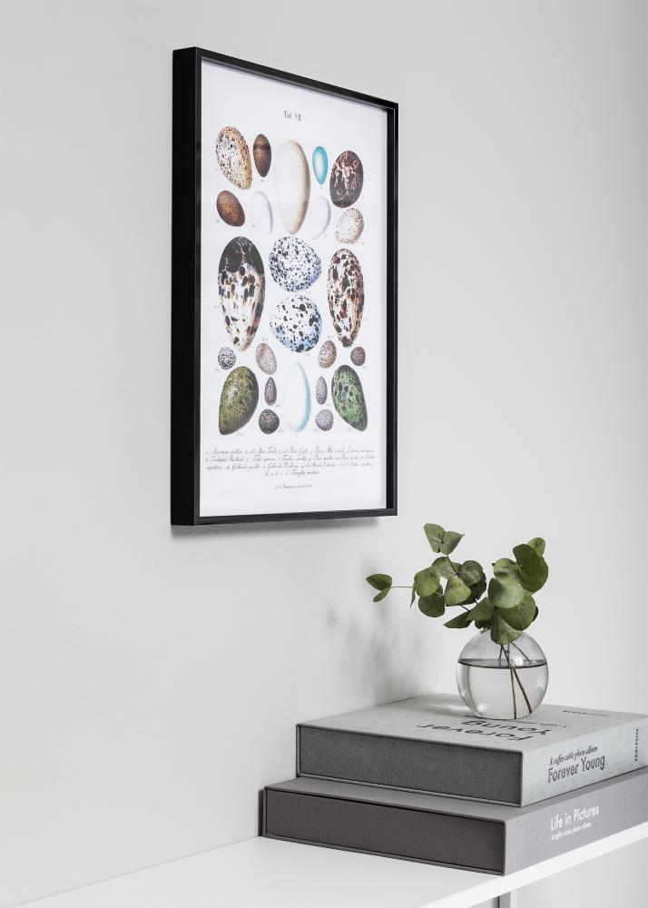 Πλαίσιο Nielsen Premium Alpha Λαμπερό Μαύρο 84,1x118,9 cm (A0)