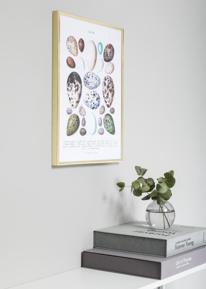 Πλαίσιο Nielsen Premium Classic Χρυσός 50x70 cm