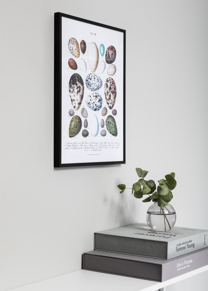 Πλαίσιο Nielsen Premium Classic Ματ Μαύρο 59,4x84,1 cm (A1)