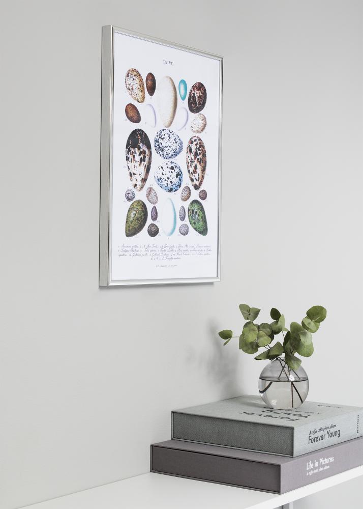 Πλαίσιο Nielsen Premium Classic Ασημί 60x80 cm