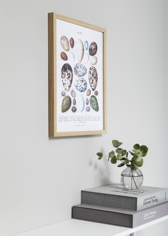 Πλαίσιο Nielsen Premium Quadrum Δρυς 60x80 cm