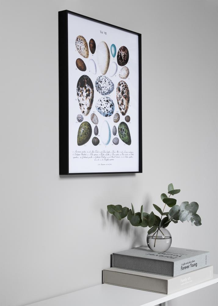 Πλαίσιο Nielsen Premium Zenit Στρωμένος Μαύρος - Επιλογή μεγέθους