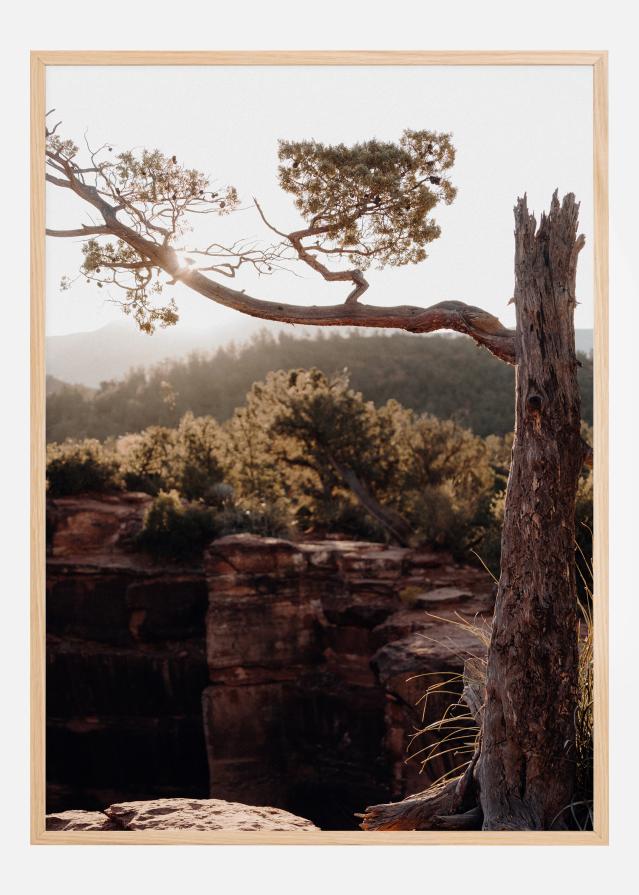 Broken Tree Αφίσα