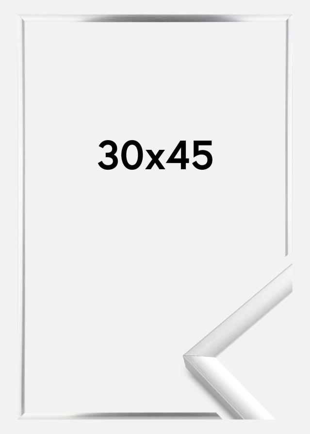 Πλαίσιο New Lifestyle Ασημί 30x45 cm