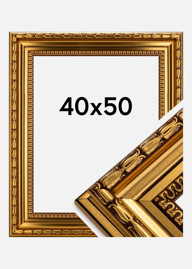 Πλαίσιο Birka Premium Χρυσός 40x50 cm