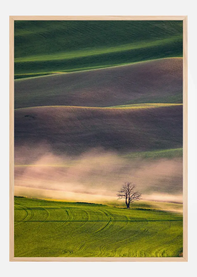 Sunset in Palouse Αφίσα