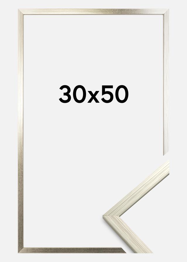 Πλαίσιο Edsbyn Ασημί 30x50 cm