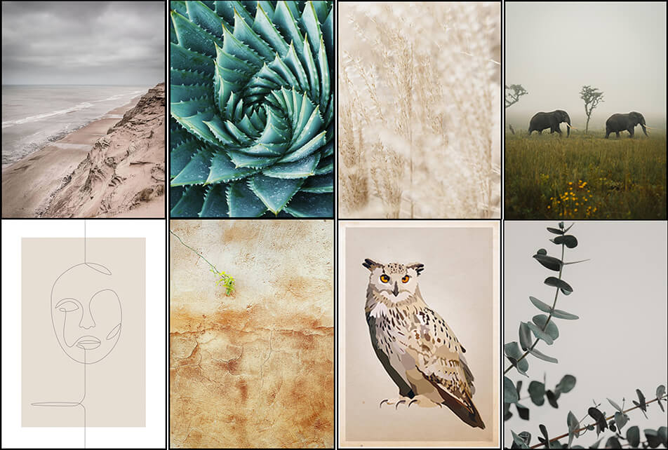 Αφίσες σε φυσικές αποχρώσεις - φυσική διακόσμηση